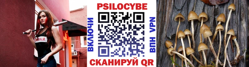 Псилоцибиновые грибы ЛСД  Купить где  Александровск 